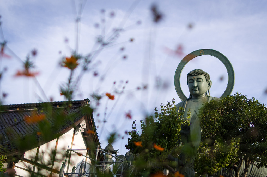 Big buddha in Toyama